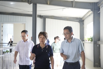 【長田動(dòng)態(tài)】區(qū)人大常委會(huì)副主任楊玉美一行蒞臨易豐農(nóng)業(yè)調(diào)研