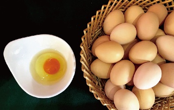 【長田動(dòng)態(tài)】給家人的每一口蛋，都該有“安心答案”——“長田樂享濟(jì)蛋”用“一蛋一碼”破解吃蛋焦慮