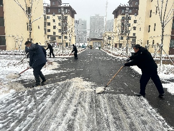 【長田動態(tài)】初雪至，暖意行！長田實業(yè)全力清雪保安全暢通