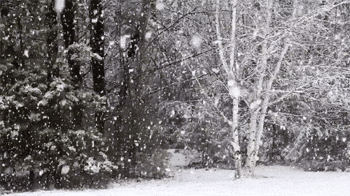 640.gif